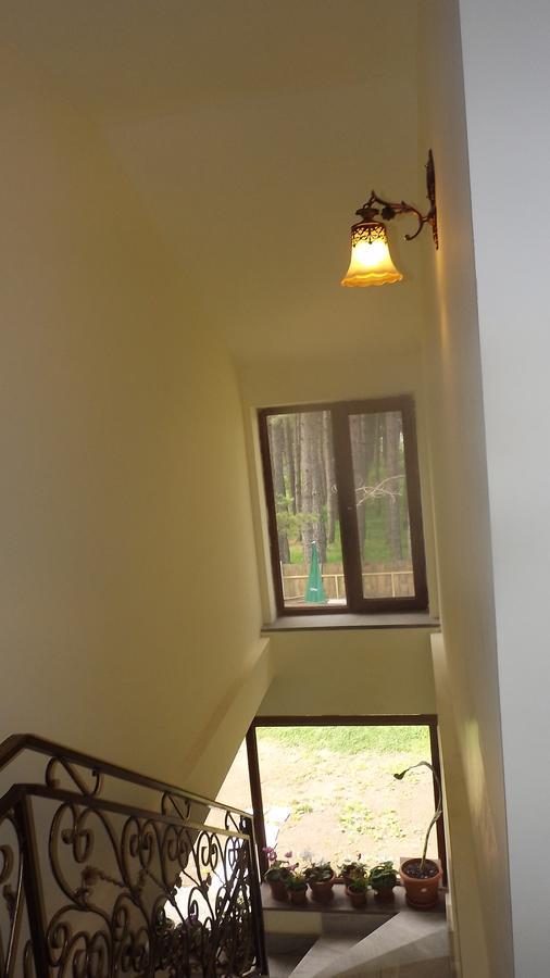 Nectar Hotel Dilijan Luaran gambar